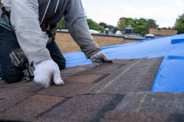 Best Storm Damage Roof Repair  in Forest Glen, MD